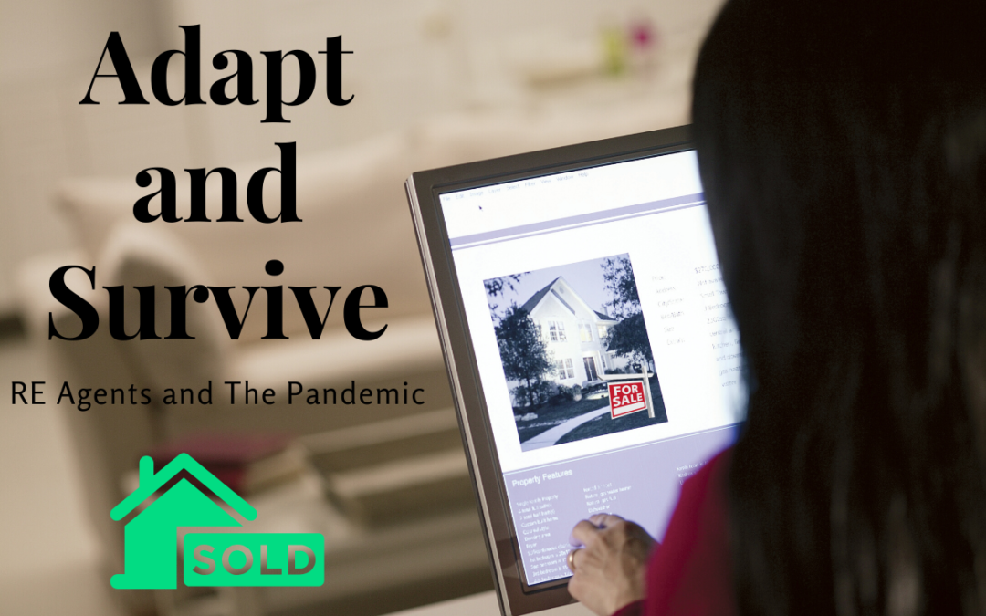 Adapt and Survive: RE Agents and The Pandemic